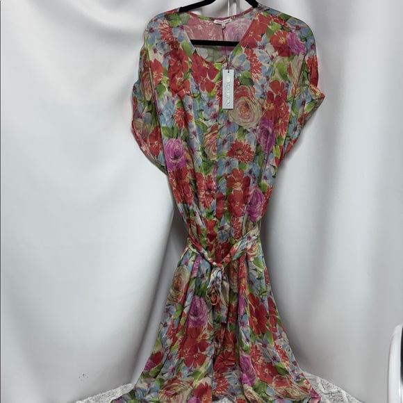 Frances Valentine Anna Slope Arm Dress with Pockets Rose print 2X - Picture 5 of 7